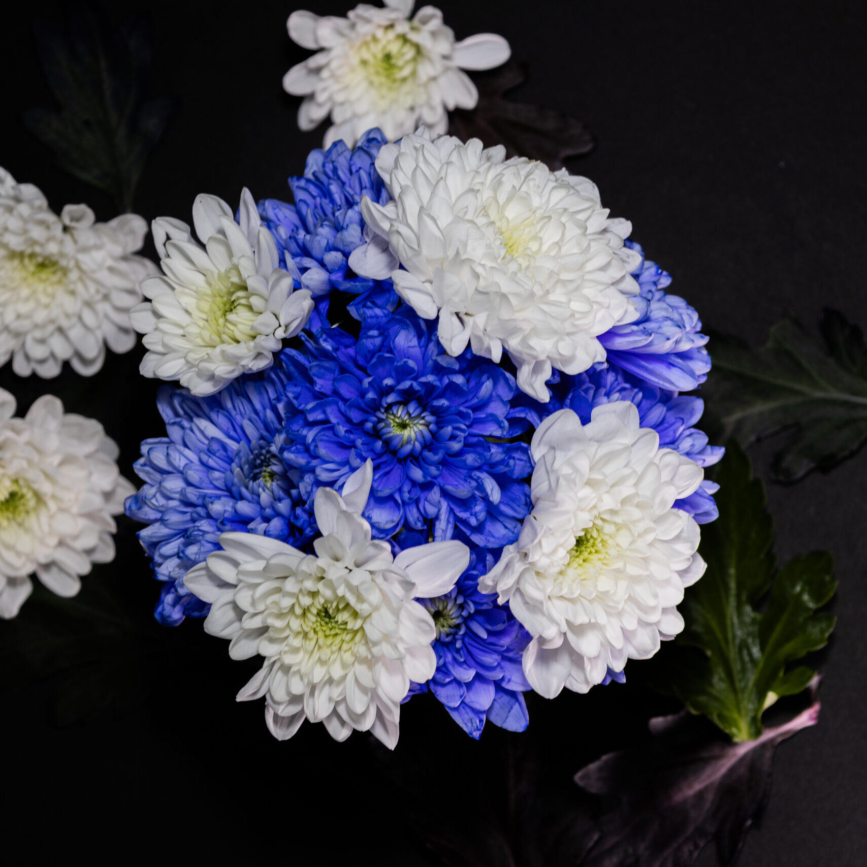 bouquet-blue-white-flowers-vase-black-background-with-white-flowers-background